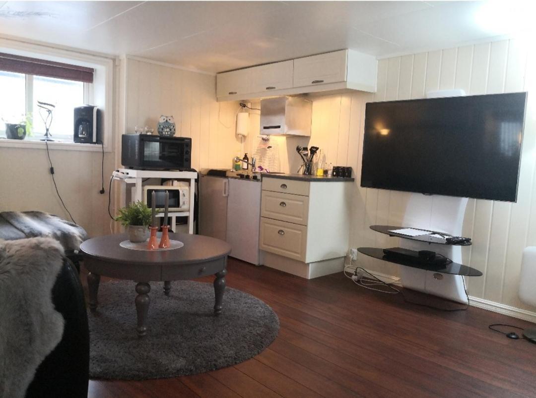 Sentral Studioleilighet Ved Stranden Og Hvalsenter Nb Ma Vaskes Etter Endt Leie Eller Betale Rengjoringshjelpen 500 Kr Andenes Buitenkant foto